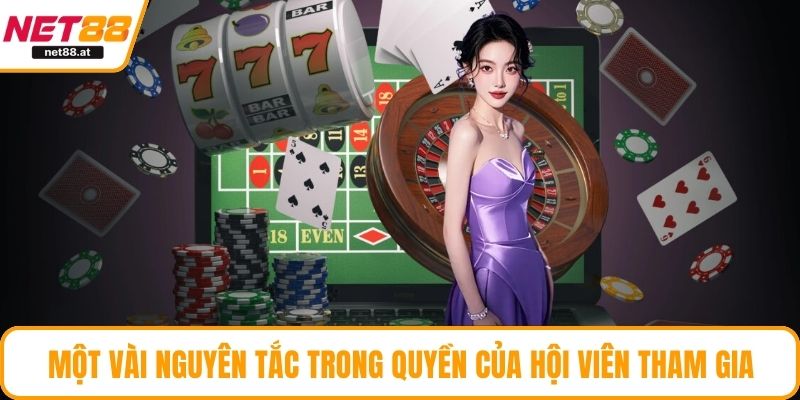 Một vài nguyên tắc trong quyền của hội viên tham gia